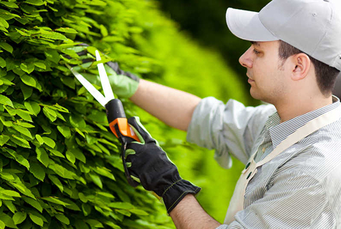 S. M. I. | Limpieza Exterior y Jardinería